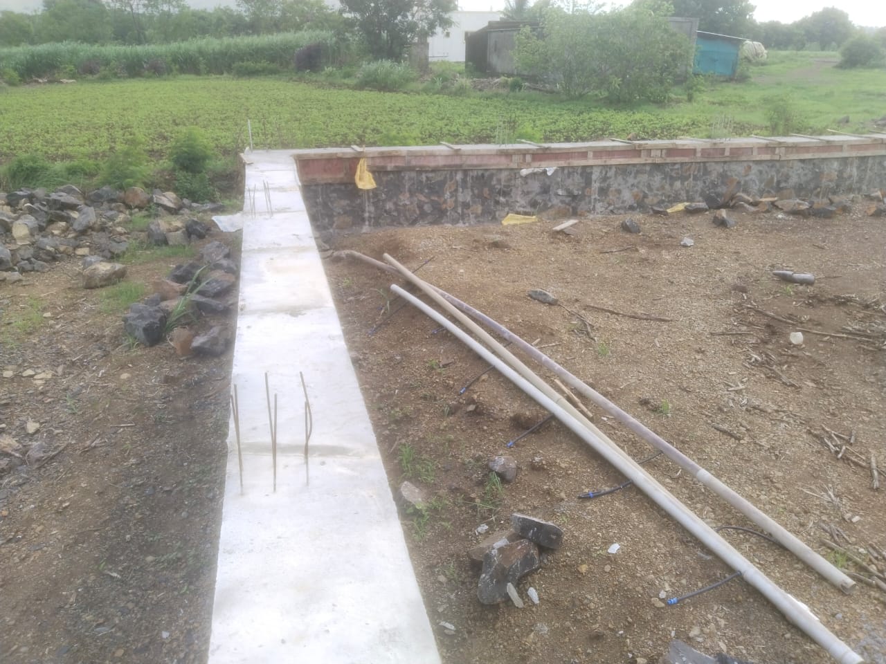 L-shaped stone compound wall around a green farm plot